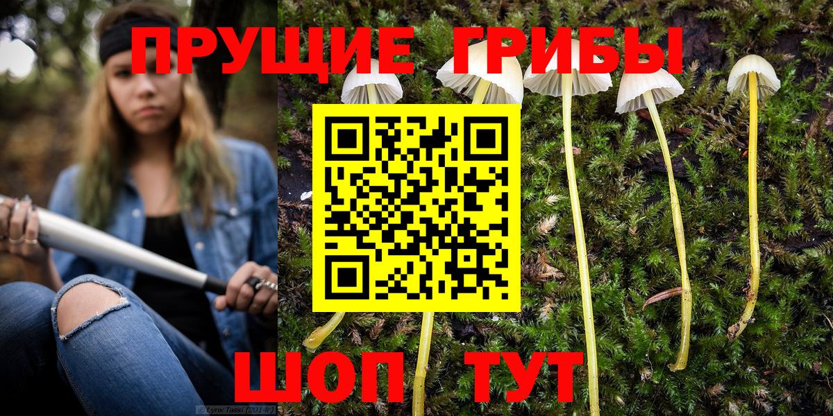 Псилоцибиновые грибы Magic Shrooms  Вход с VPN  Псилоцибиновые грибы Cubensis  Бирск 